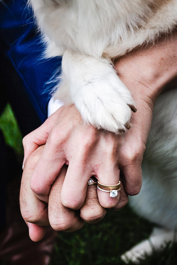 Groom and bride holding hands, with dog's paws resting on top